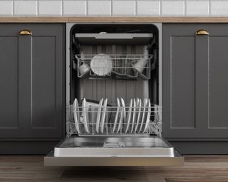 Front View Of Open Dishwasher