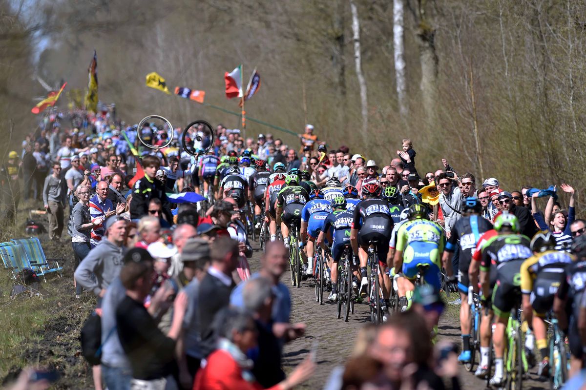 Fans pack the Arenberg Forest
