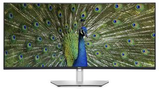 Dell UltraSharp 40 Curved WUHD Monitor (U4021QW)