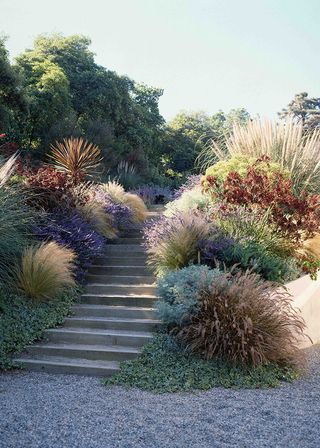 Gravel and steps surrounded by long grasses demonstrating sloped garden ideas on a budget.