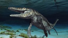An illustration of a mosasaur 