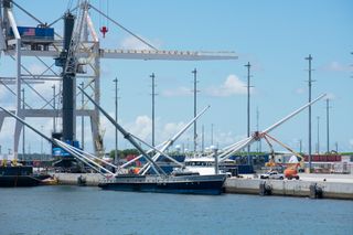 A view of the former Mr. Steven sitting in Port Canaveral awaiting a new name.