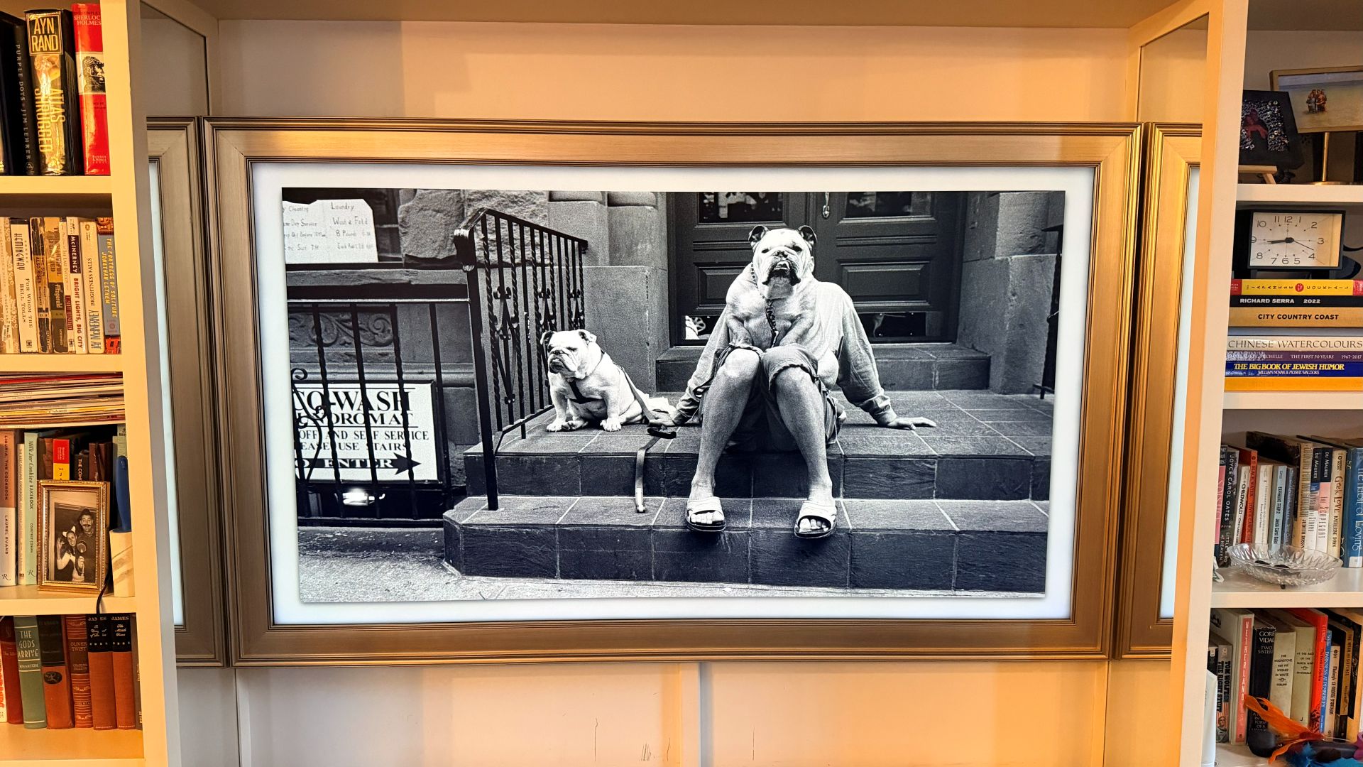 Samsung The Frame showing surreal photo of dog and human with dog head