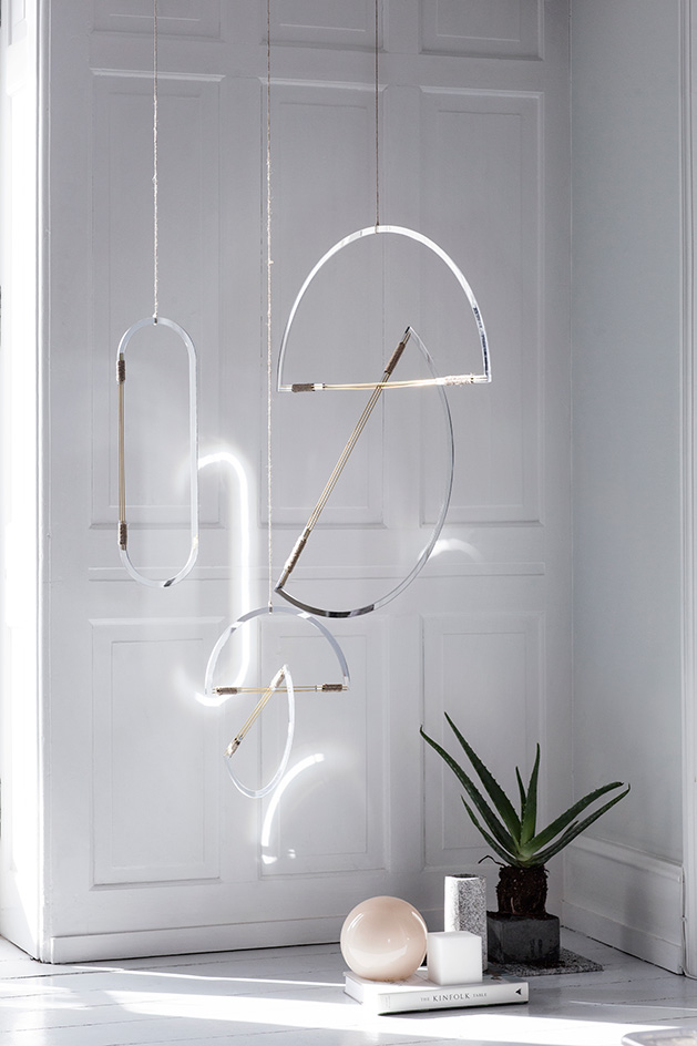 Aloe vera plant with hanging mirror