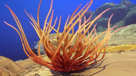 Whip Gorgon, cut down in Subnautica 2 to obtain Fibrous Pulp
