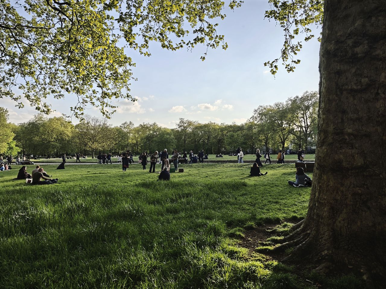 Leica filters on Xiaomi 15