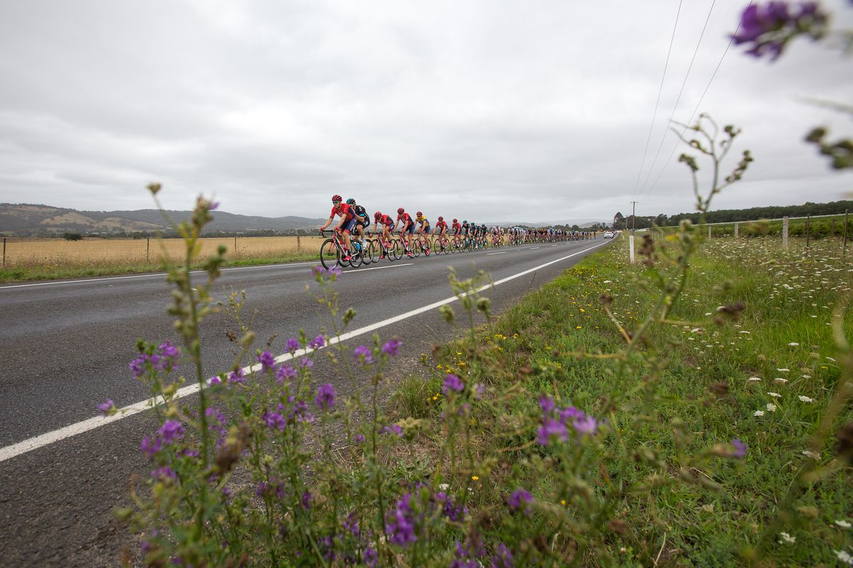 The peloton