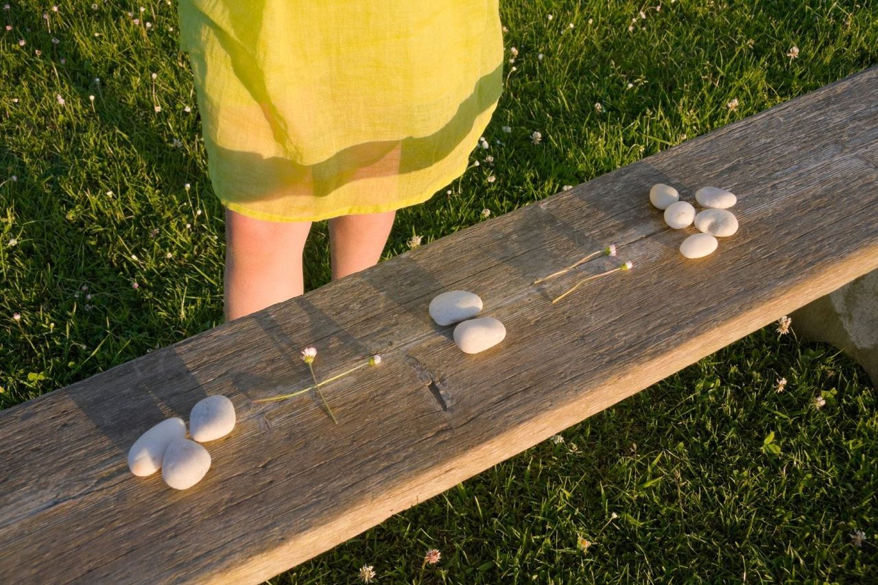 Rocks And Flowers On A Wood Beam