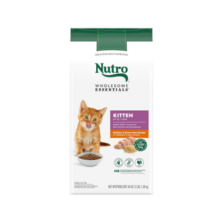 Nutro Wholesome Essentials Kitten Dry Cat Food, one of the best kitten foods