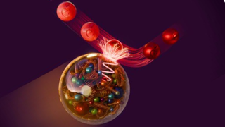 An illustration of a proton (the large golden sphere) colliding with an electron (smaller red sphere).