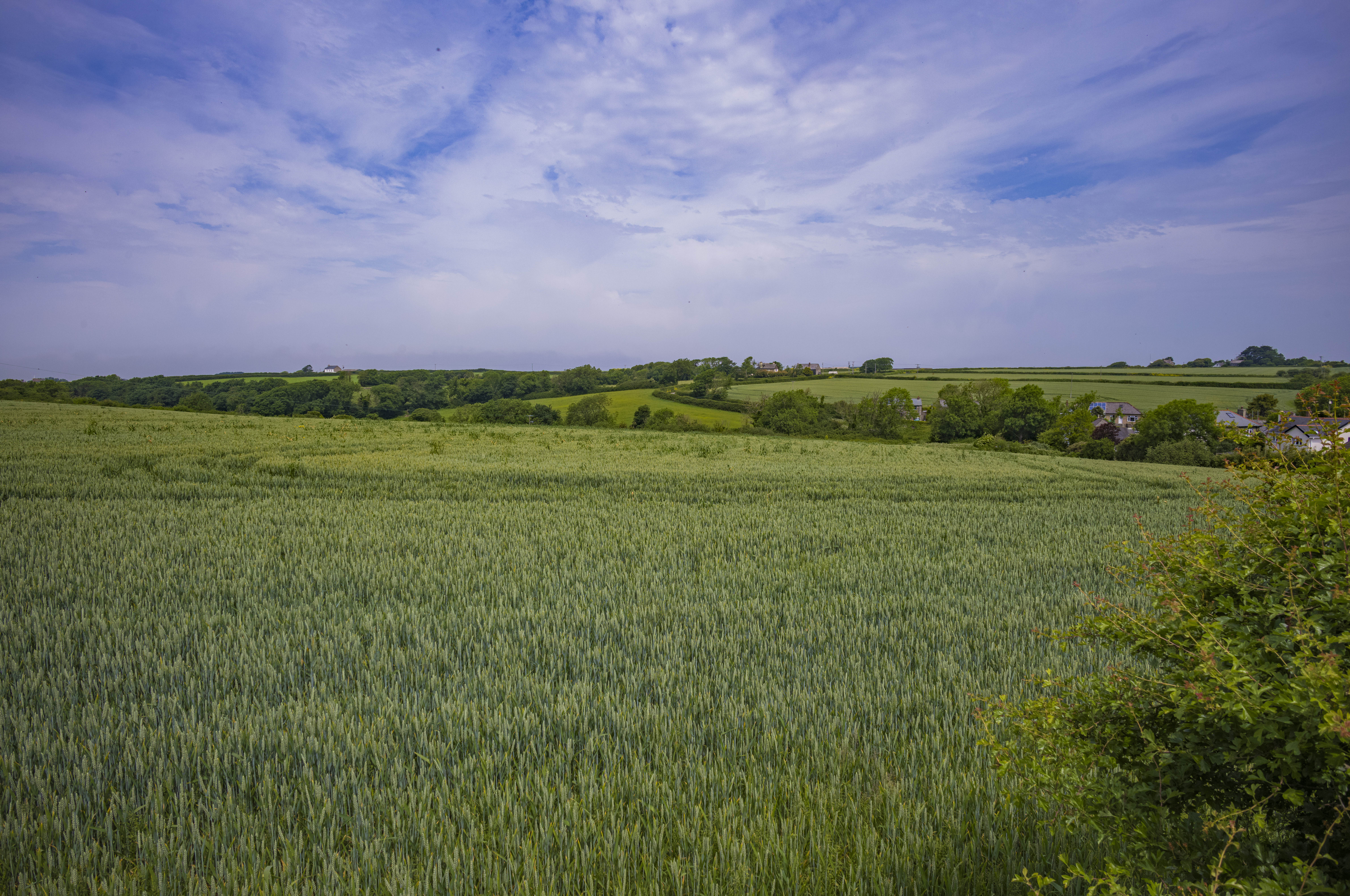 Leica 21mm Summilux-M f/1.4 ASPH image samples