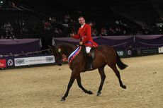 HorseNo524_HOYS_PN18_169685_237737892_343813161.jpg