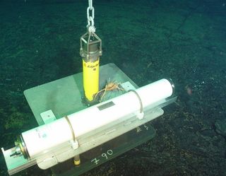 Before the eruption: A spider crab atop a hydrophone, an instrument that detects earthquakes, at the Axial Seamount.