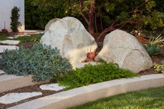 A landscaped garden with stand-alone bolders