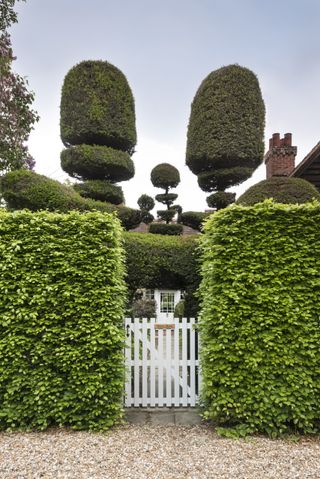 Weirs barn's entrance gate