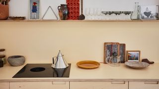 plywood kitchen cabinets, worktop and shelving