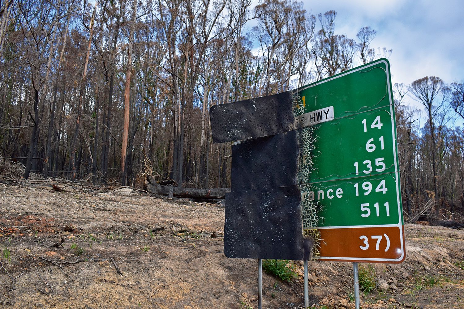 Photographers Reimagine Climate Crisis Imagery