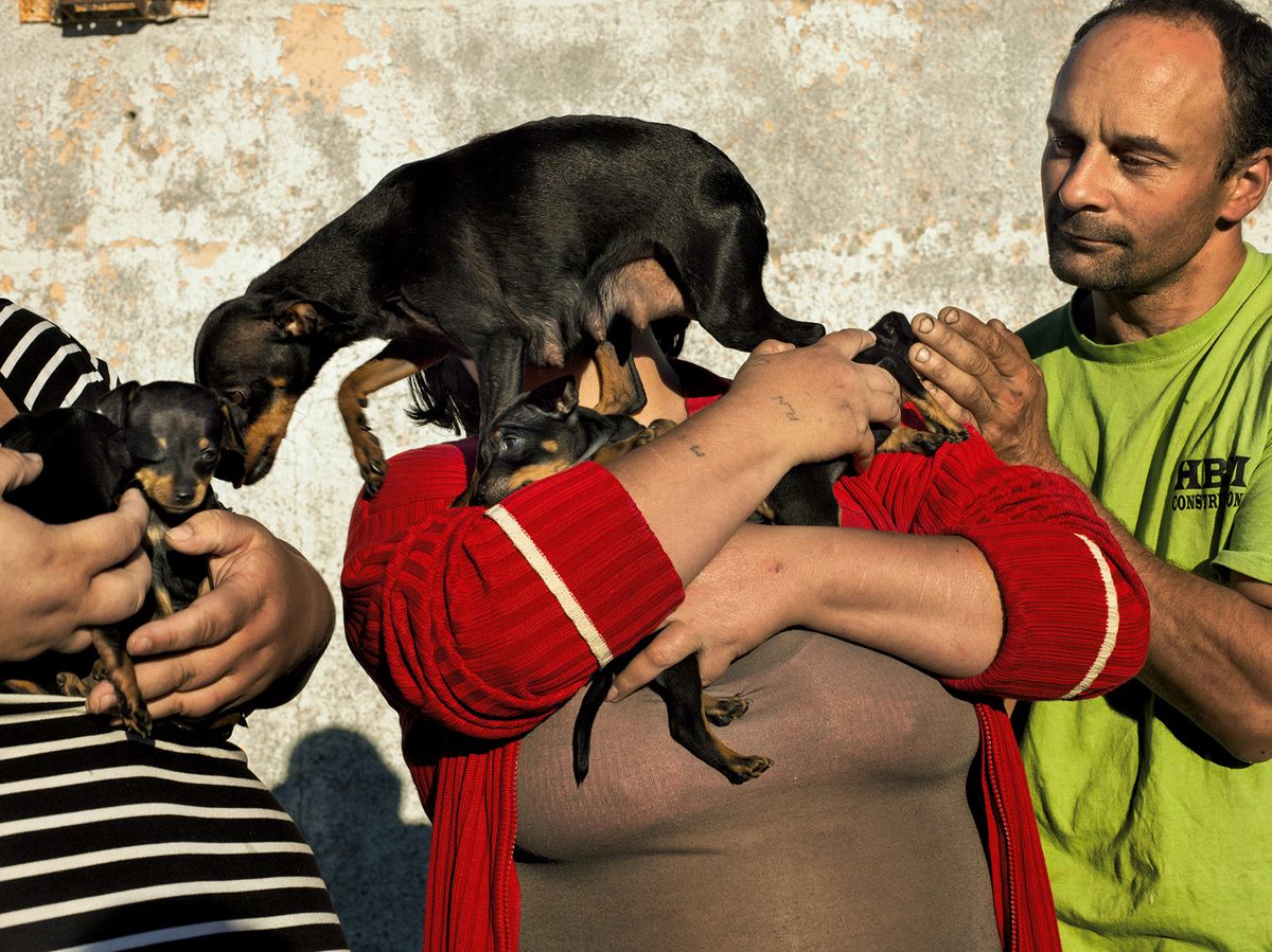 アート・デザイン・音楽 Alessandra Sanguinetti アート・デザイン・音楽 Alessandra Sanguinetti Alessandra