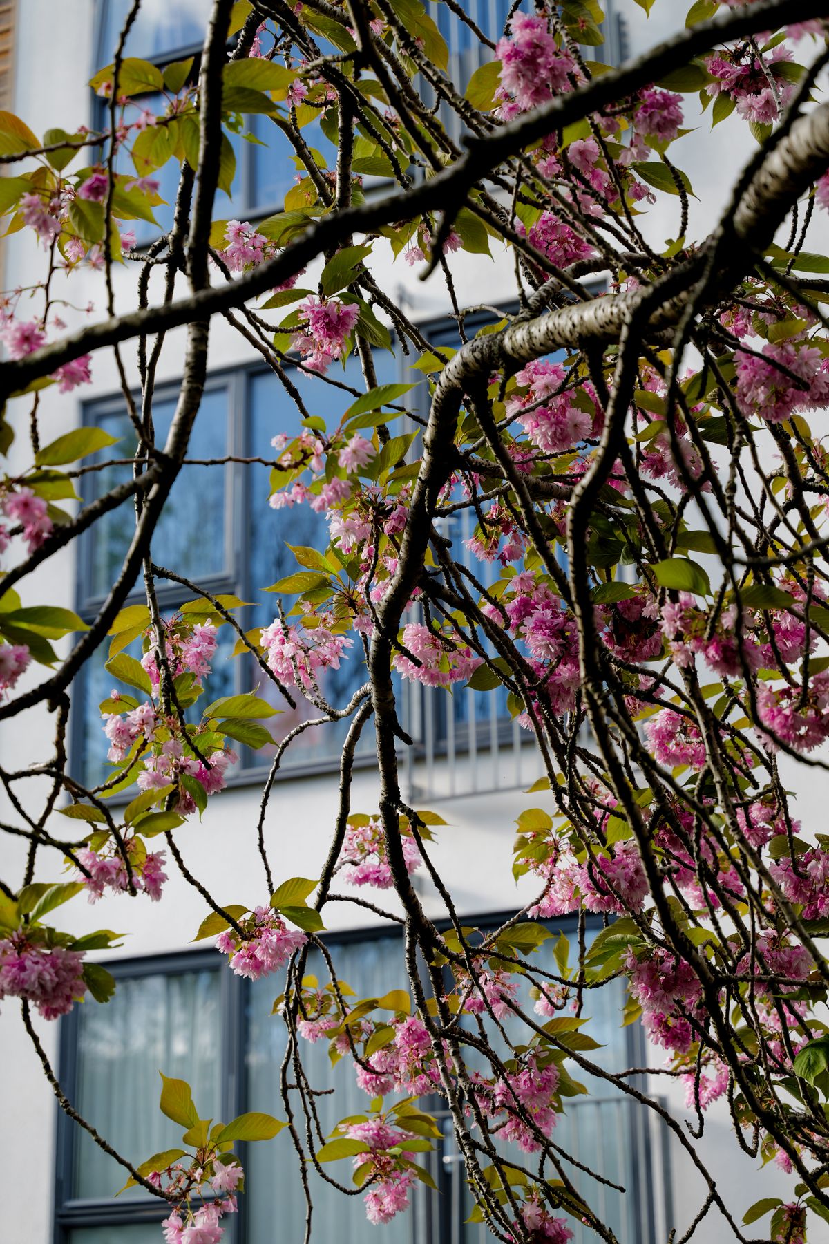 A photo taken on a Leica SL3-S mirrorless camera