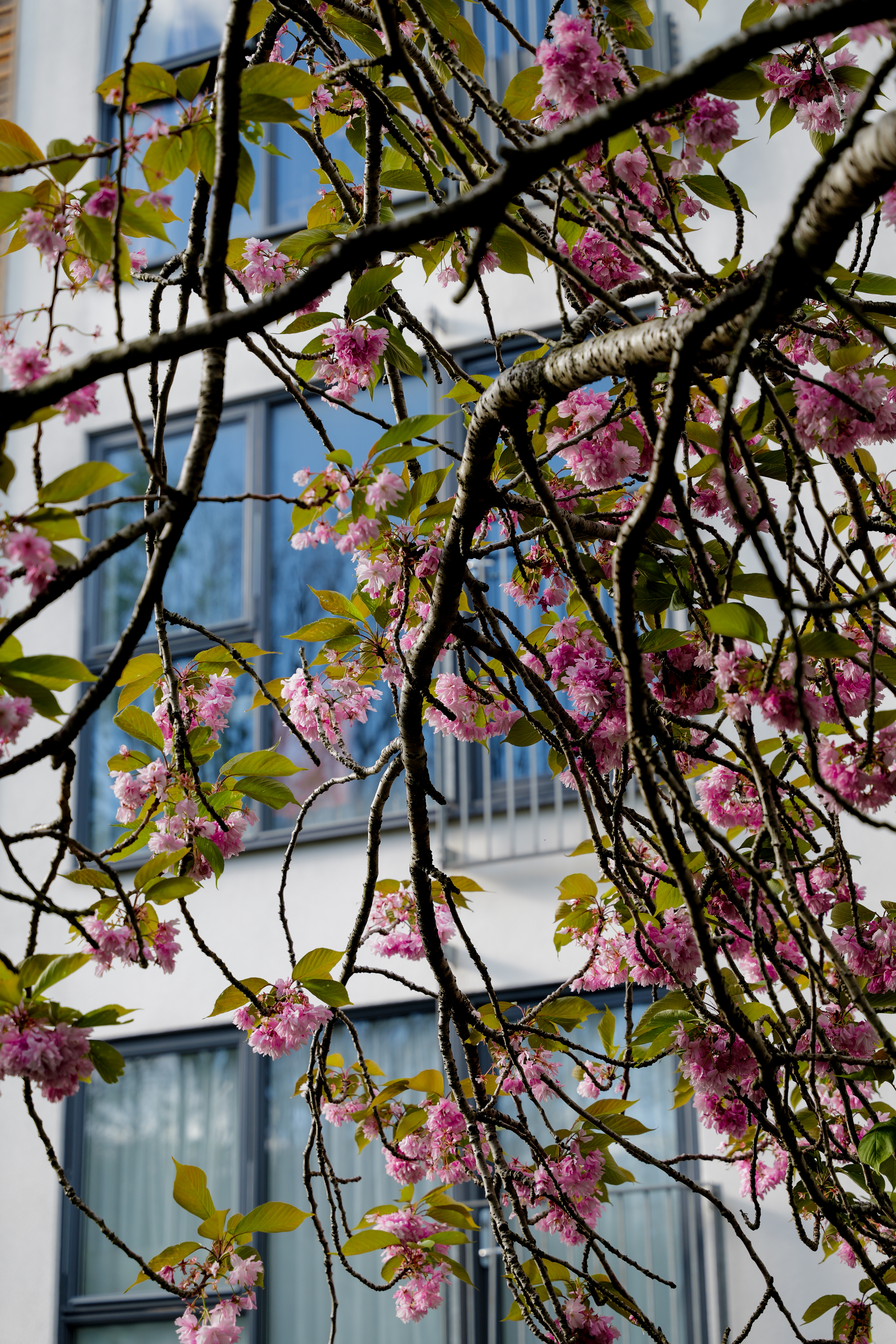 A photo taken on a Leica SL3-S mirrorless camera