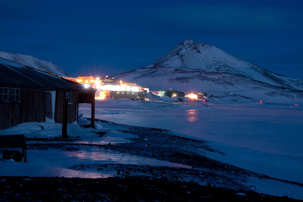 frost flowers, polar research, arctic sea ice