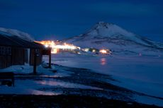 frost flowers, polar research, arctic sea ice