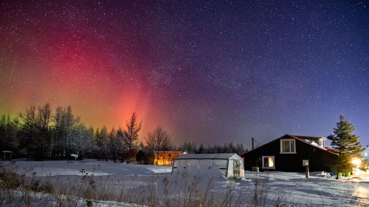 rare red auroras visible in Canada in mid-February, 2023.