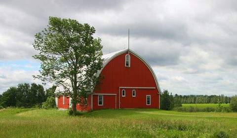 Why Are Barns Traditionally Painted Red? | Live Science