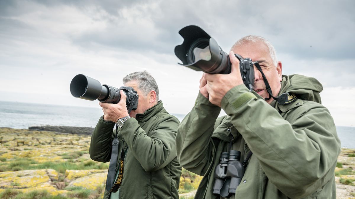 photographers using one of the best lenses for bird photography