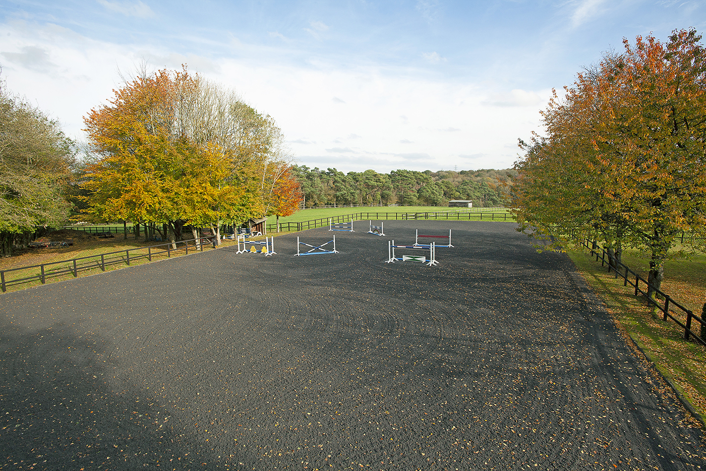 Holmer-Ridings-Savills.jpg