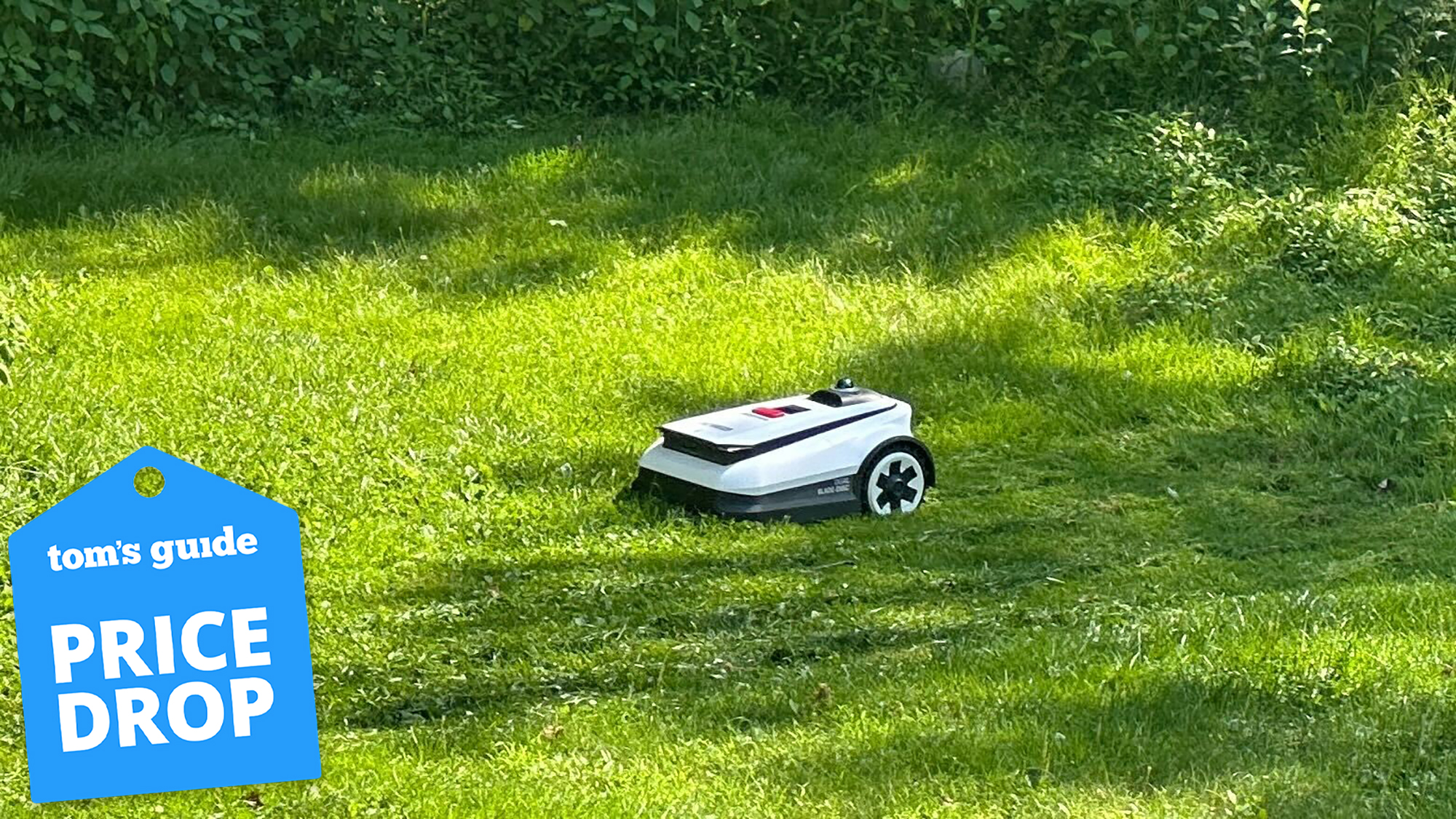 The Goat A3000 mowing grass
