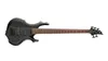 ESP LTD F-205
