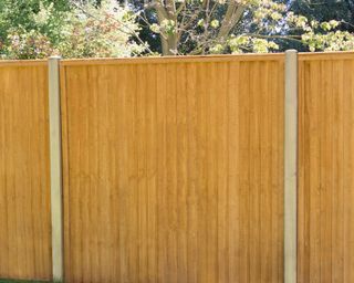 Closeboard Fence panel from B&Q