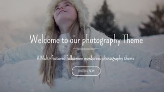 Best free WordPress themes for photographers