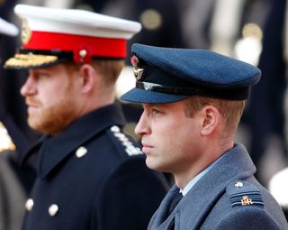 Prince Harry and Prince William together