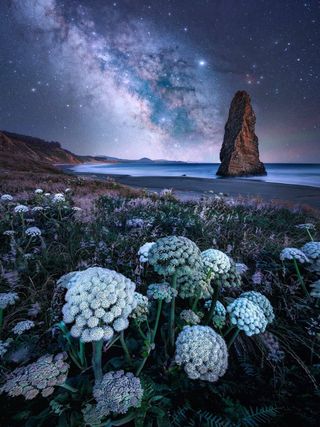 'Oregon Nights' by Chane Allred from Milky Way Photographer of the Year