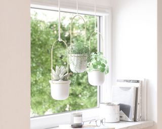 Umbra white hanging planters near window