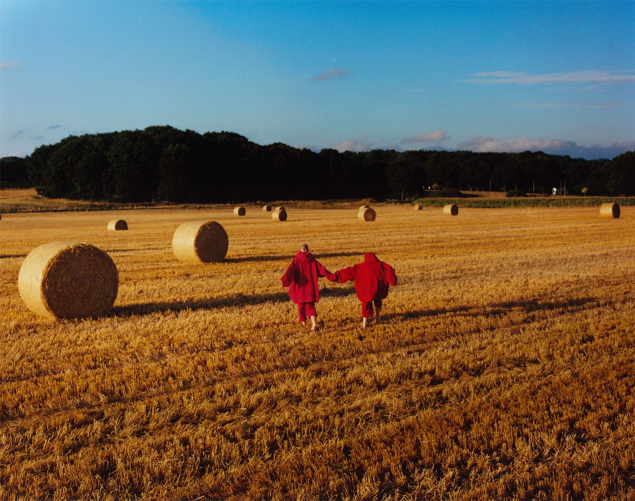 Red Field, by Tom Johnson