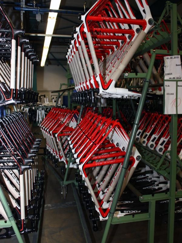 Focus has 'cross frames already built for this year's season with the first production runs already starting to arrive in stores within a few weeks.