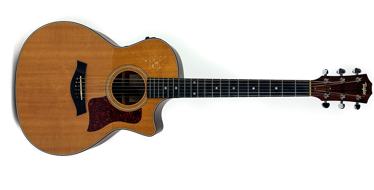 Lee Ranaldo's Taylor 314ce acoustic guitar