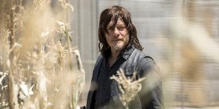 the walking dead season 9 daryl