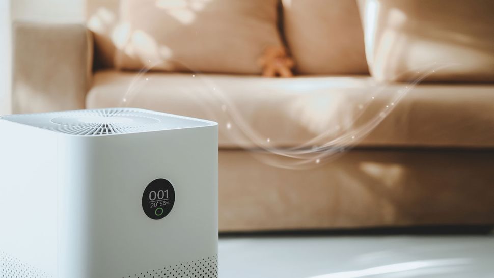 Do air purifiers work? Live Science