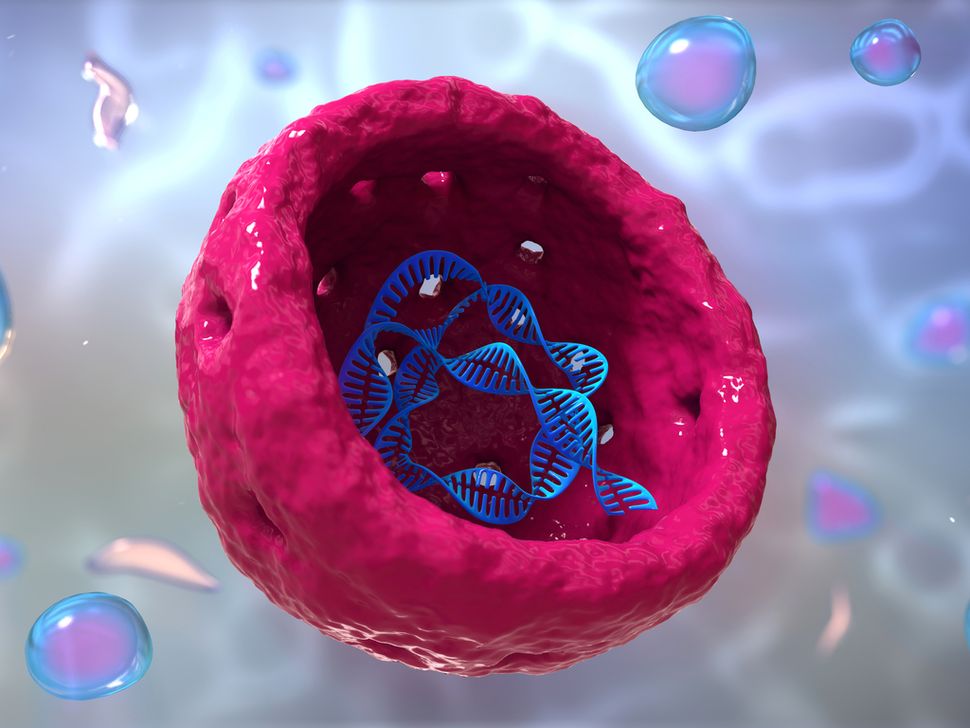 Missing Link Between Simple Cells and Complex Life-Forms Possibly Found