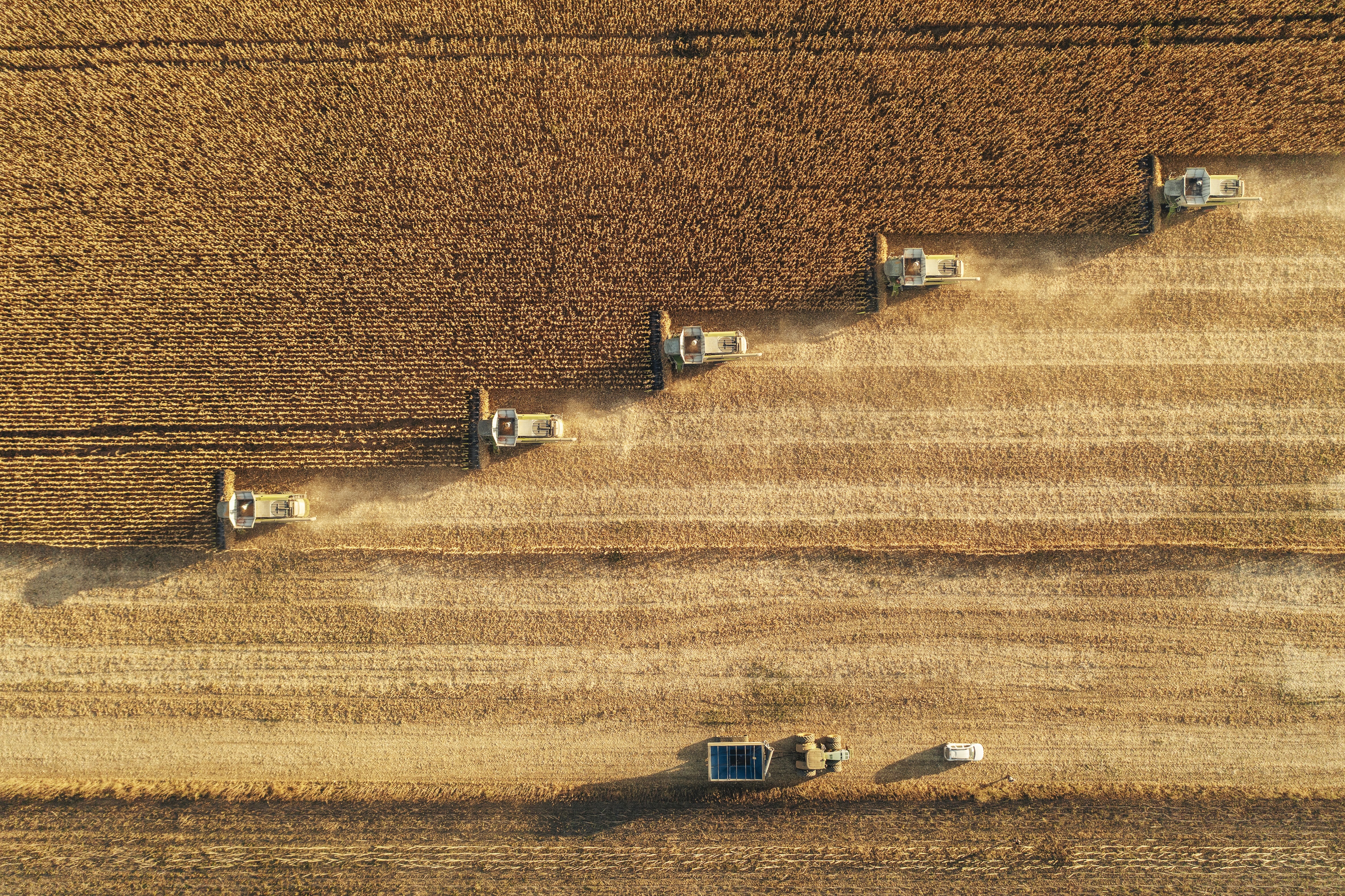 Six combine harvesters photographed from above