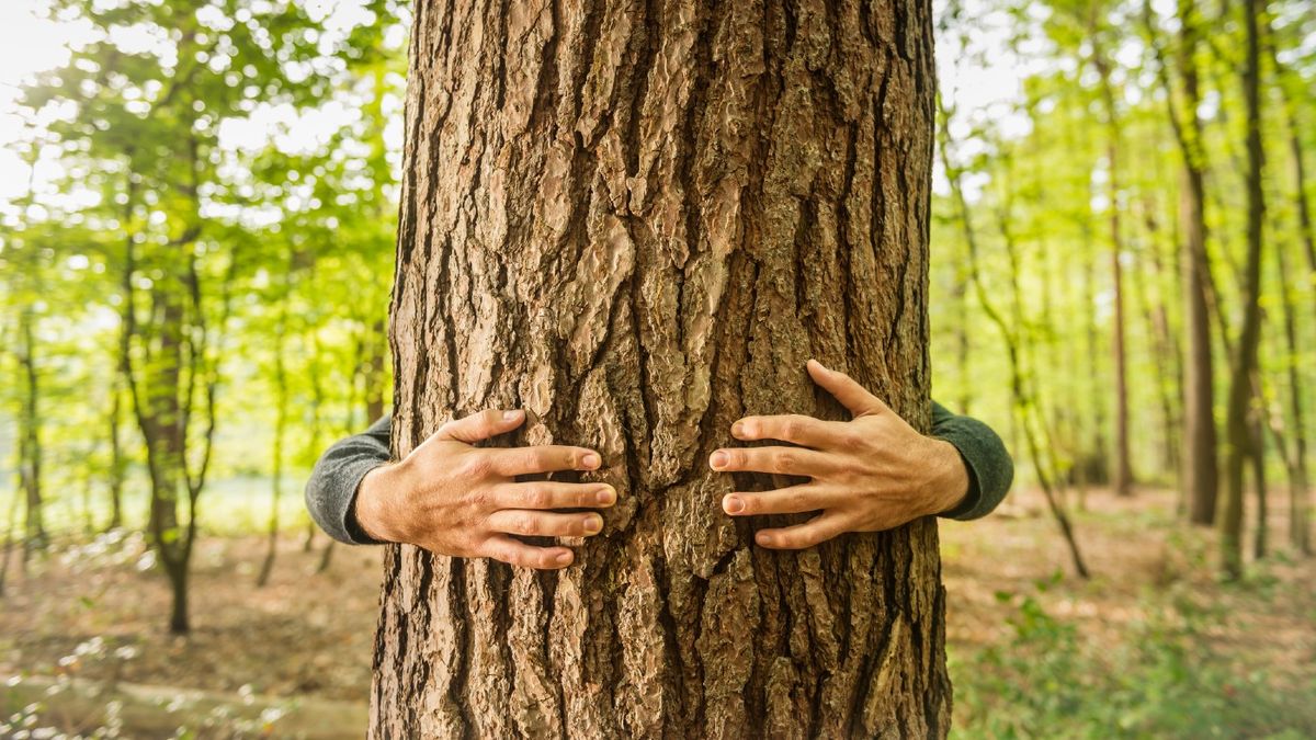 Scotland crowns first tree-hugging champion | The Week