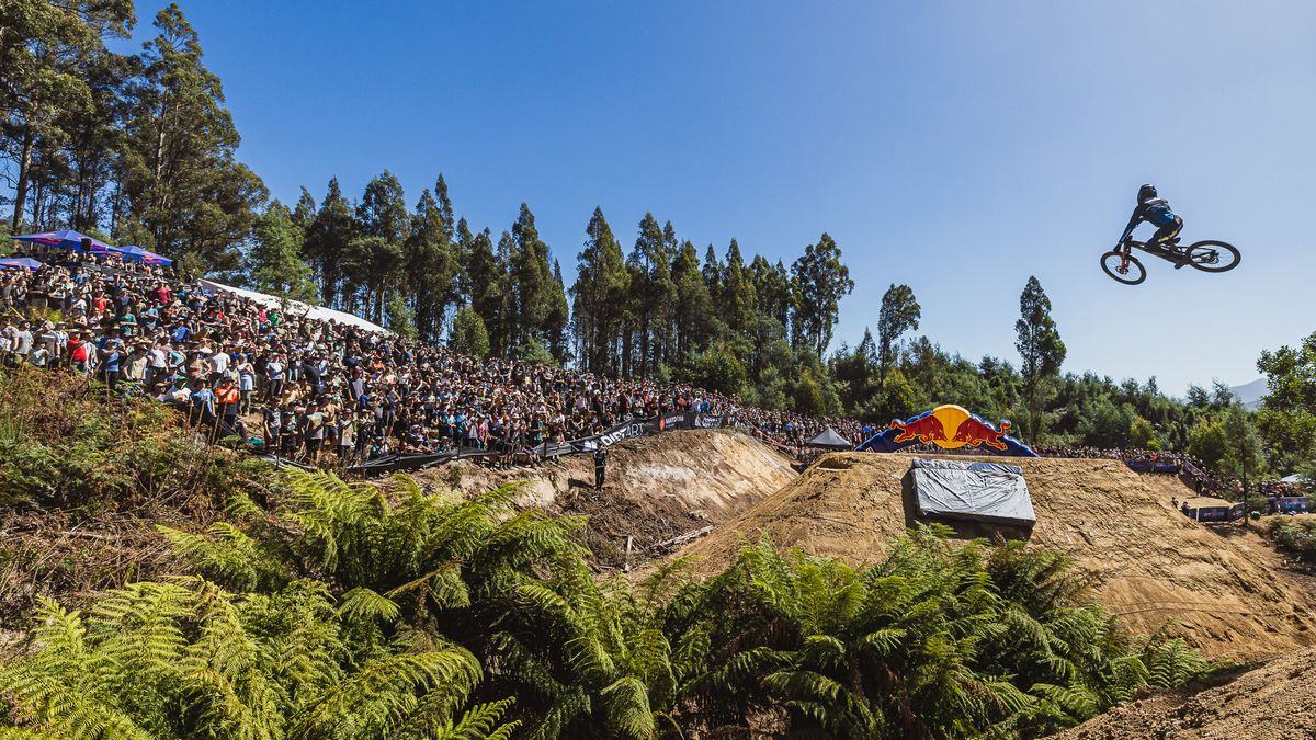 Red Bull Hardline Tasmania crowds