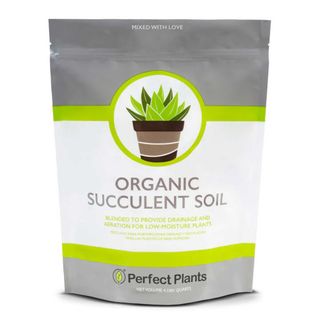 succulent soil from Perfect Plants Nursery