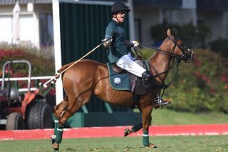 Prince Harry playing polo in 2022