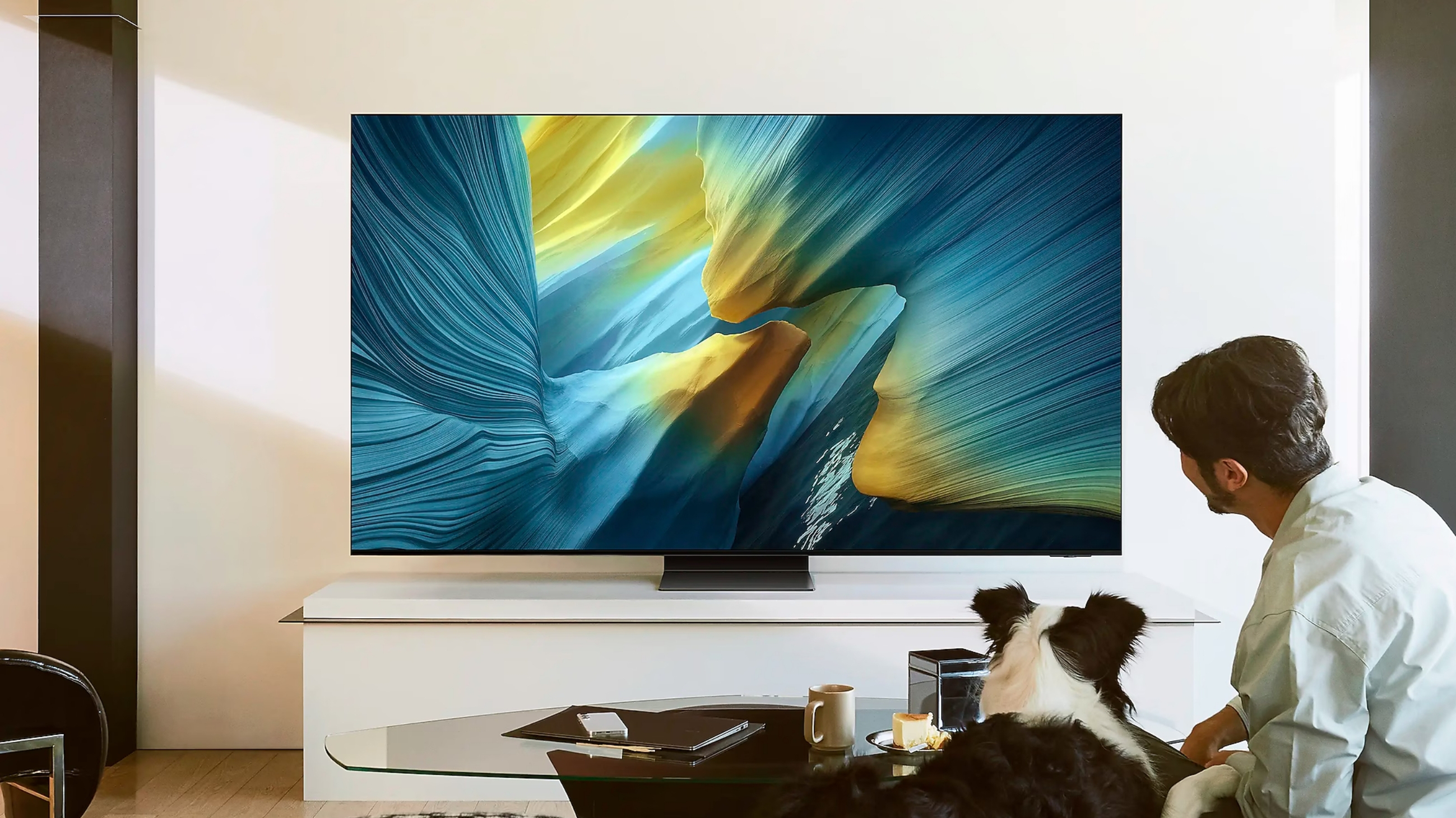 samsung s95f tv on a wall, watched by a man with a dog