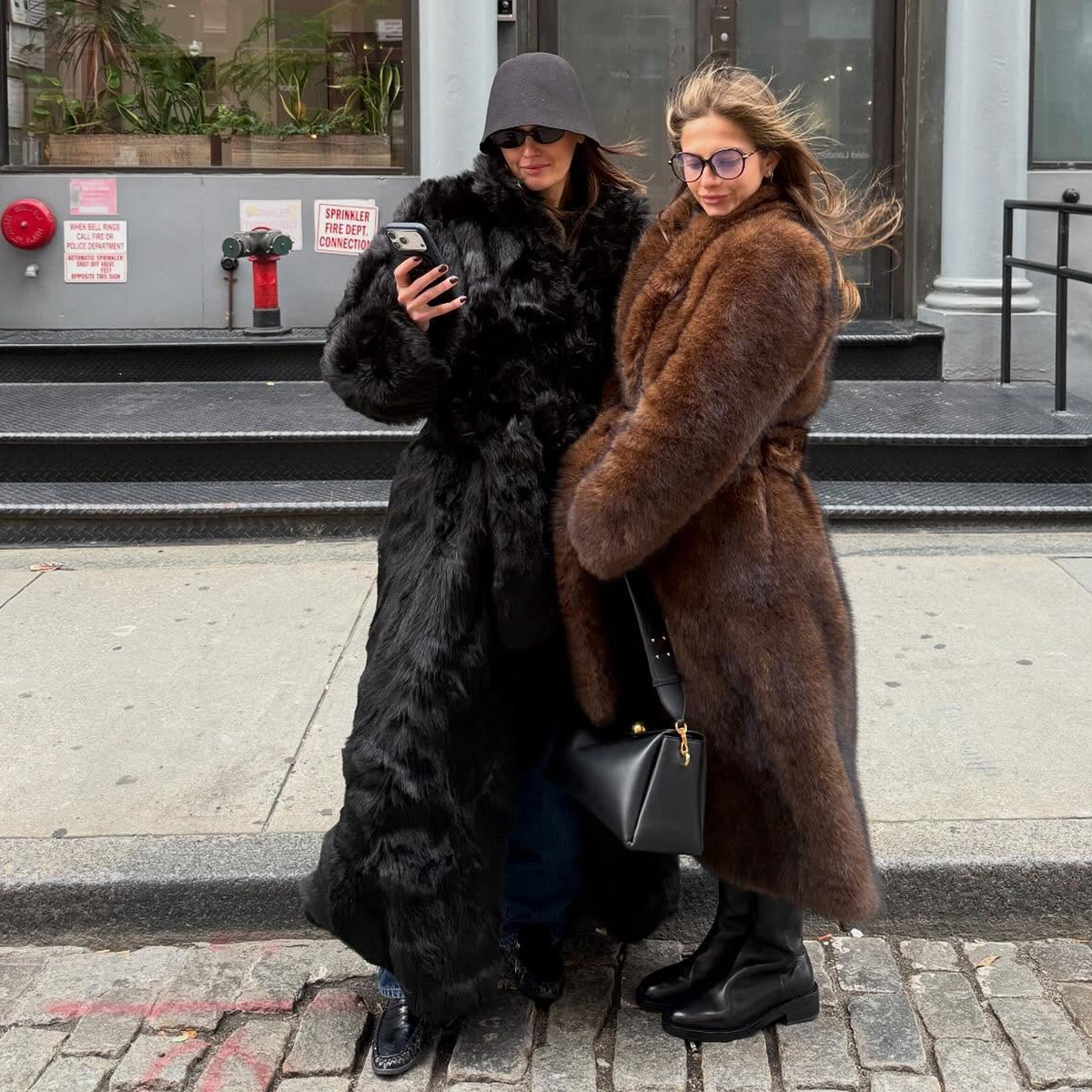 Influencers to Follow